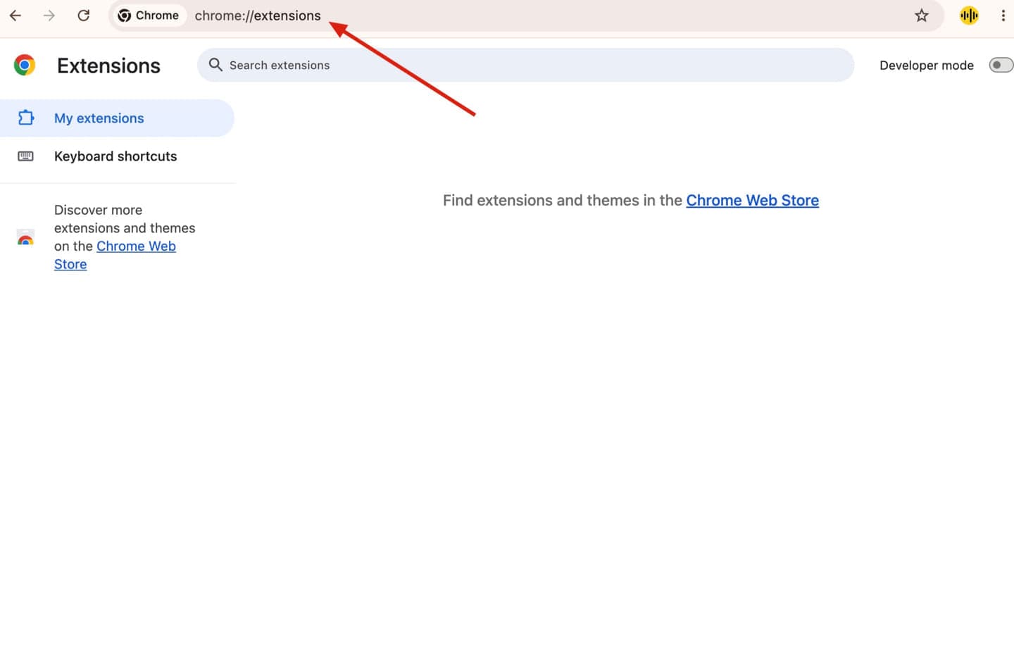 Chrome Extensions page with chrome://extensions entered in the address bar.